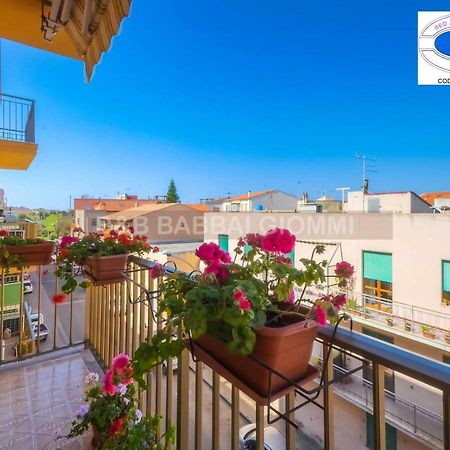 알게로 Babbai Giommi B&B 외부 사진